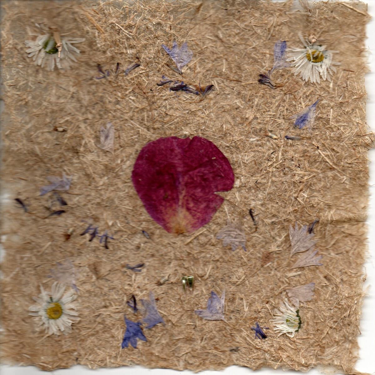 Puur natuur atelier