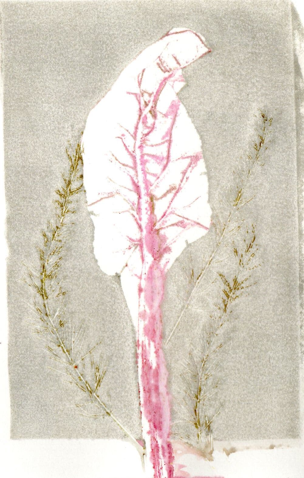 Puur natuur atelier