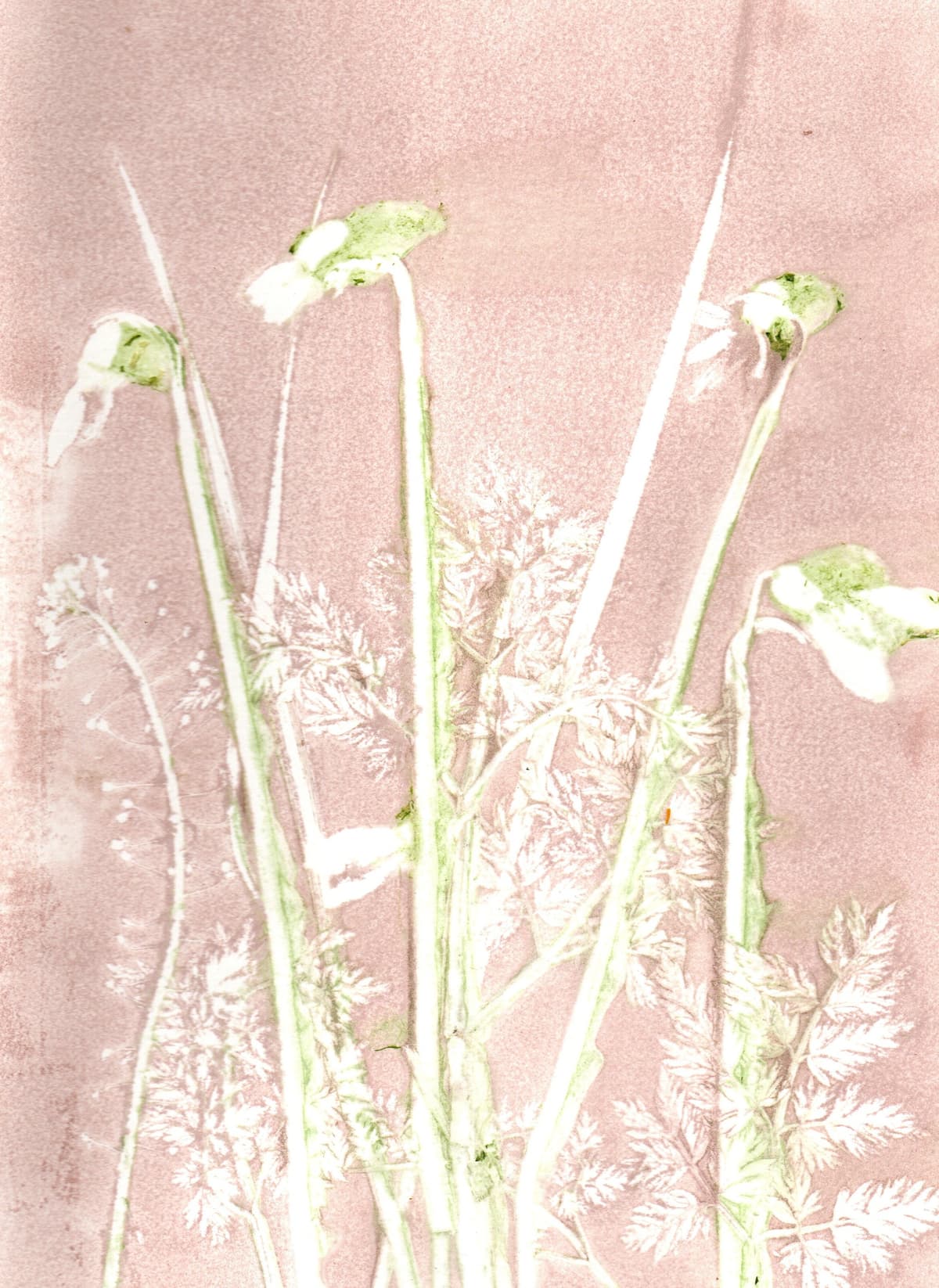 Puur natuur atelier