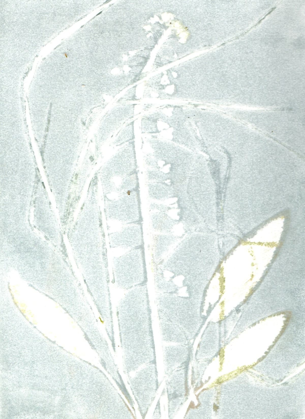 Puur natuur atelier