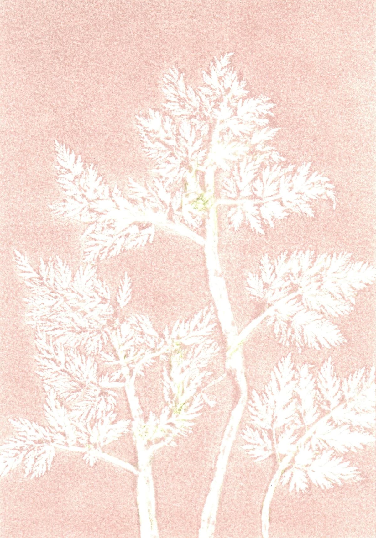 Puur natuur atelier