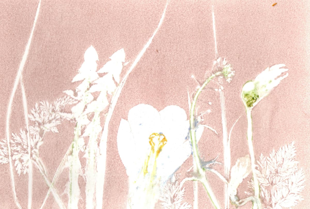 Puur natuur atelier