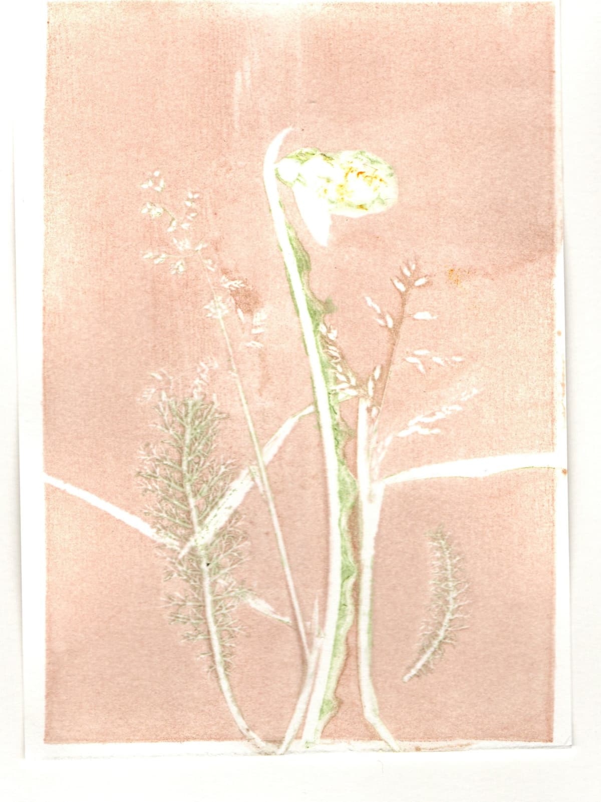 Puur natuur atelier