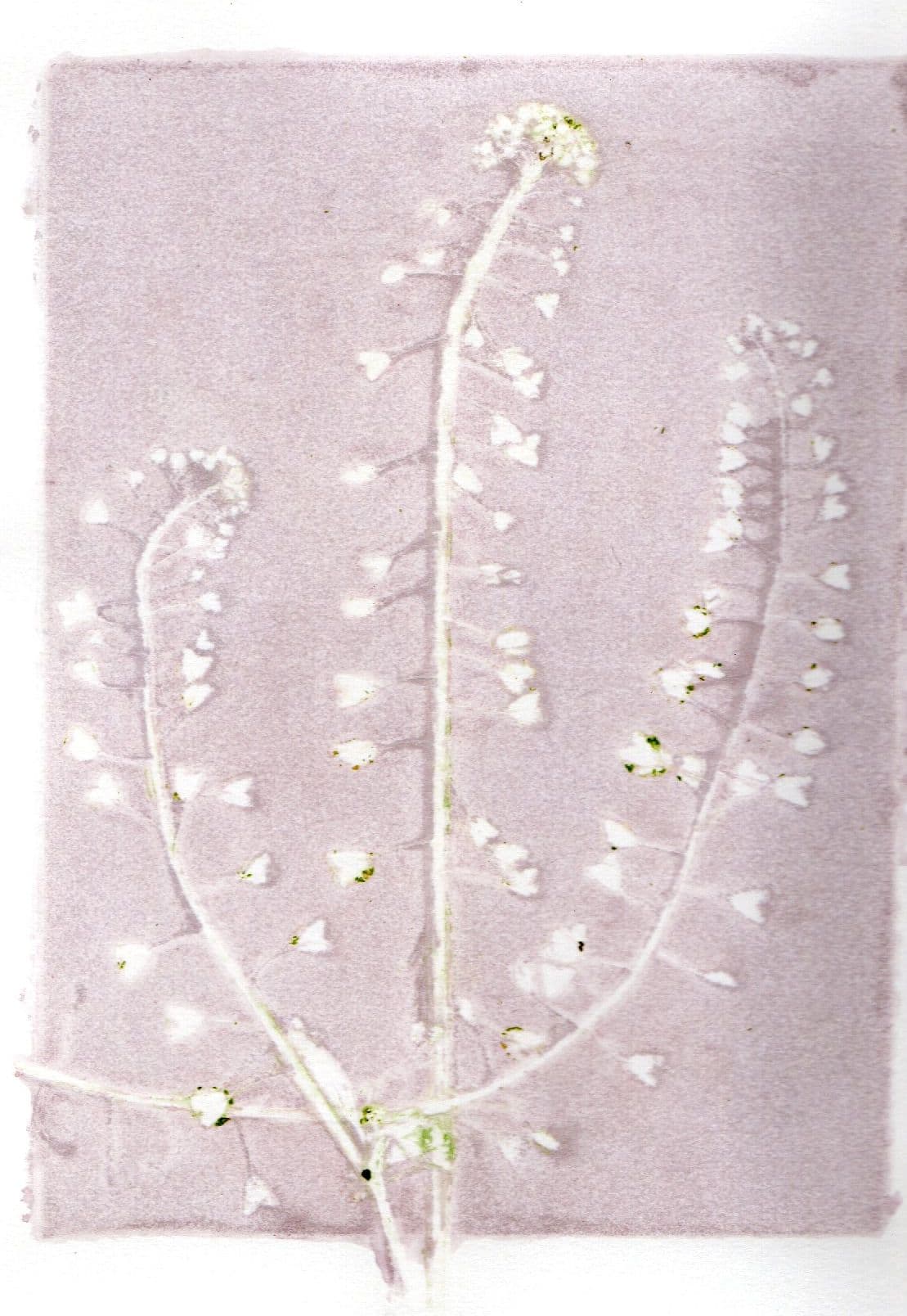 Puur natuur atelier