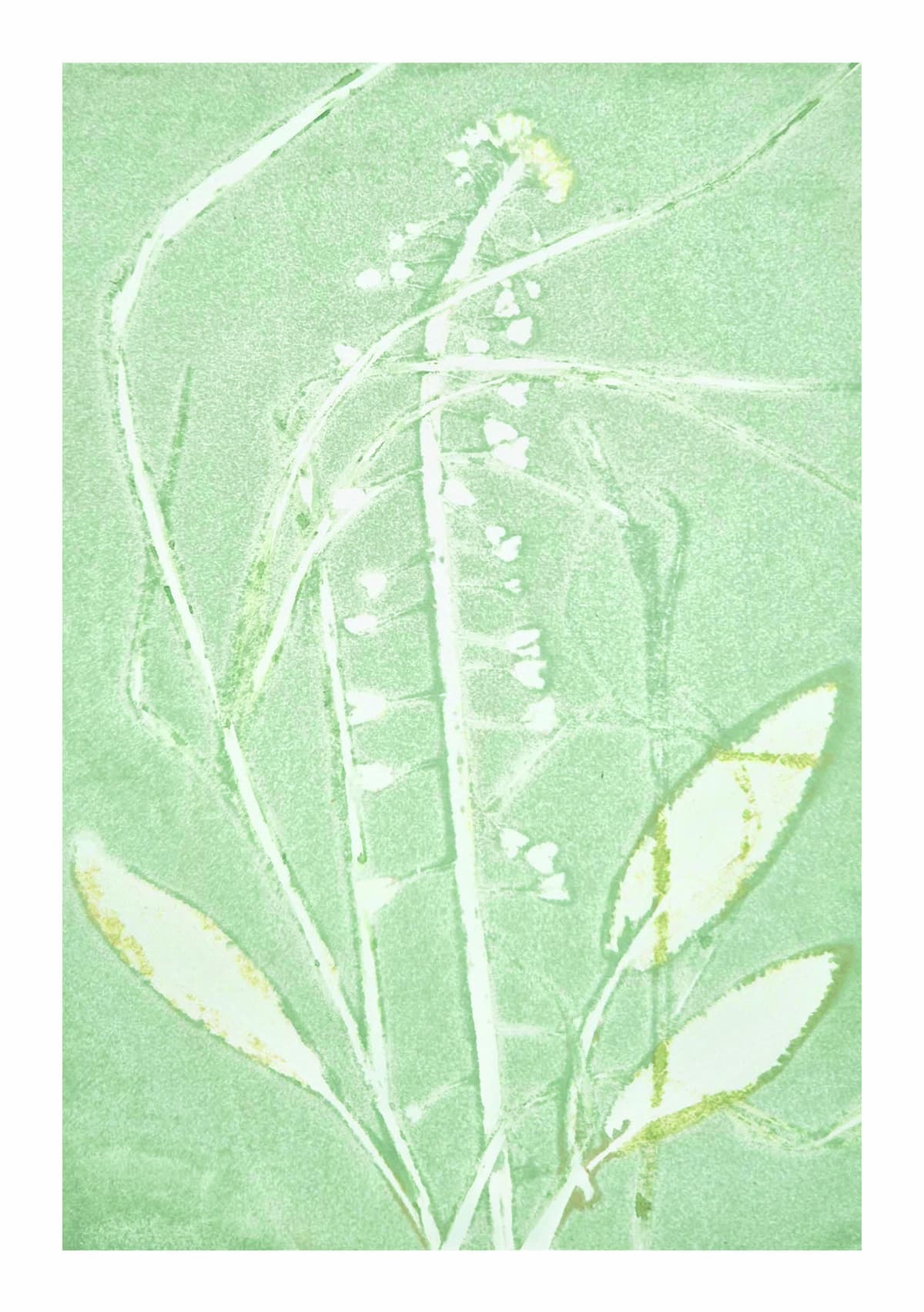 Puur natuur atelier