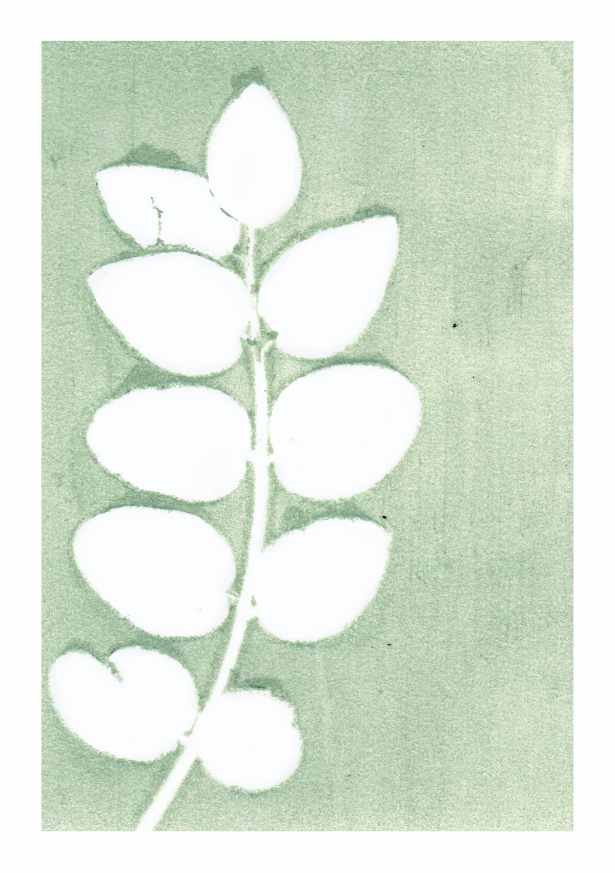 Puur natuur atelier