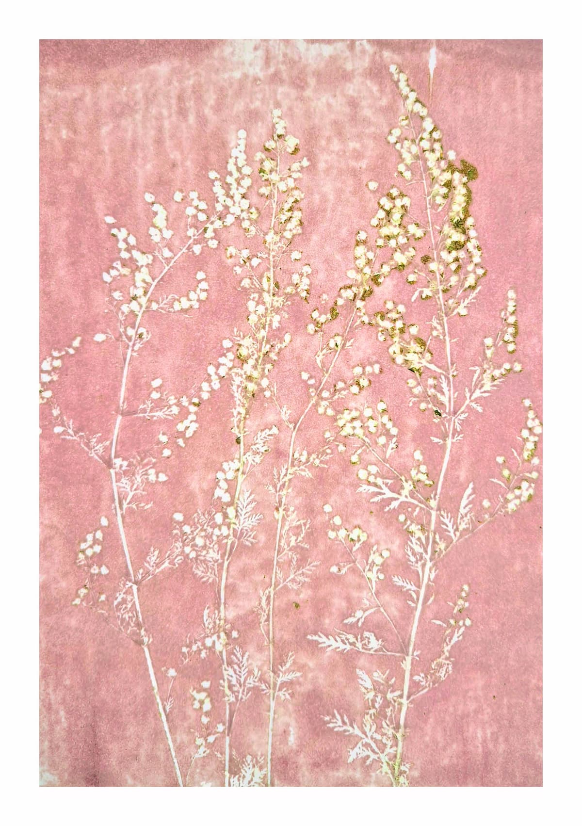 Puur natuur atelier