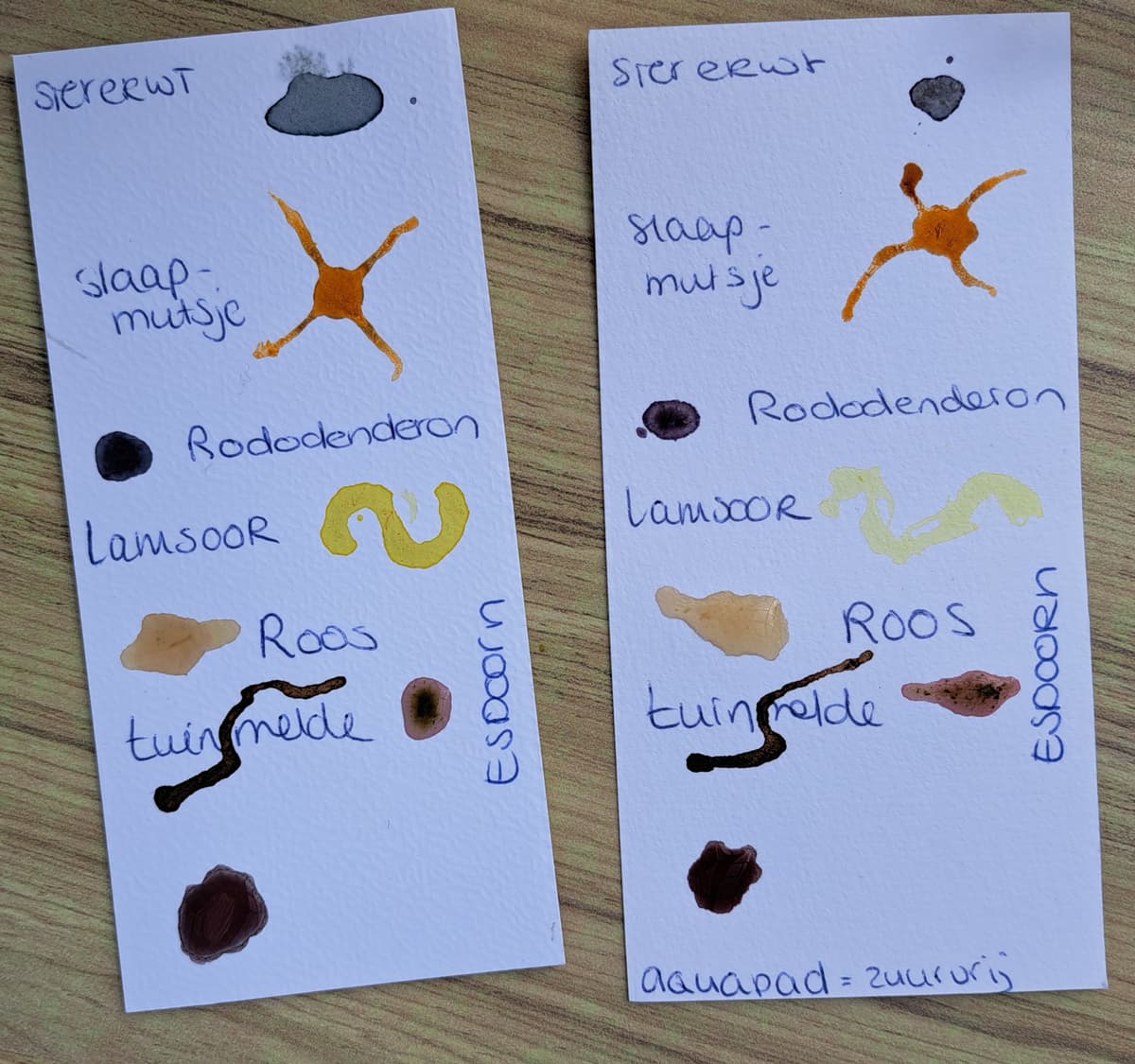 Puur natuur atelier