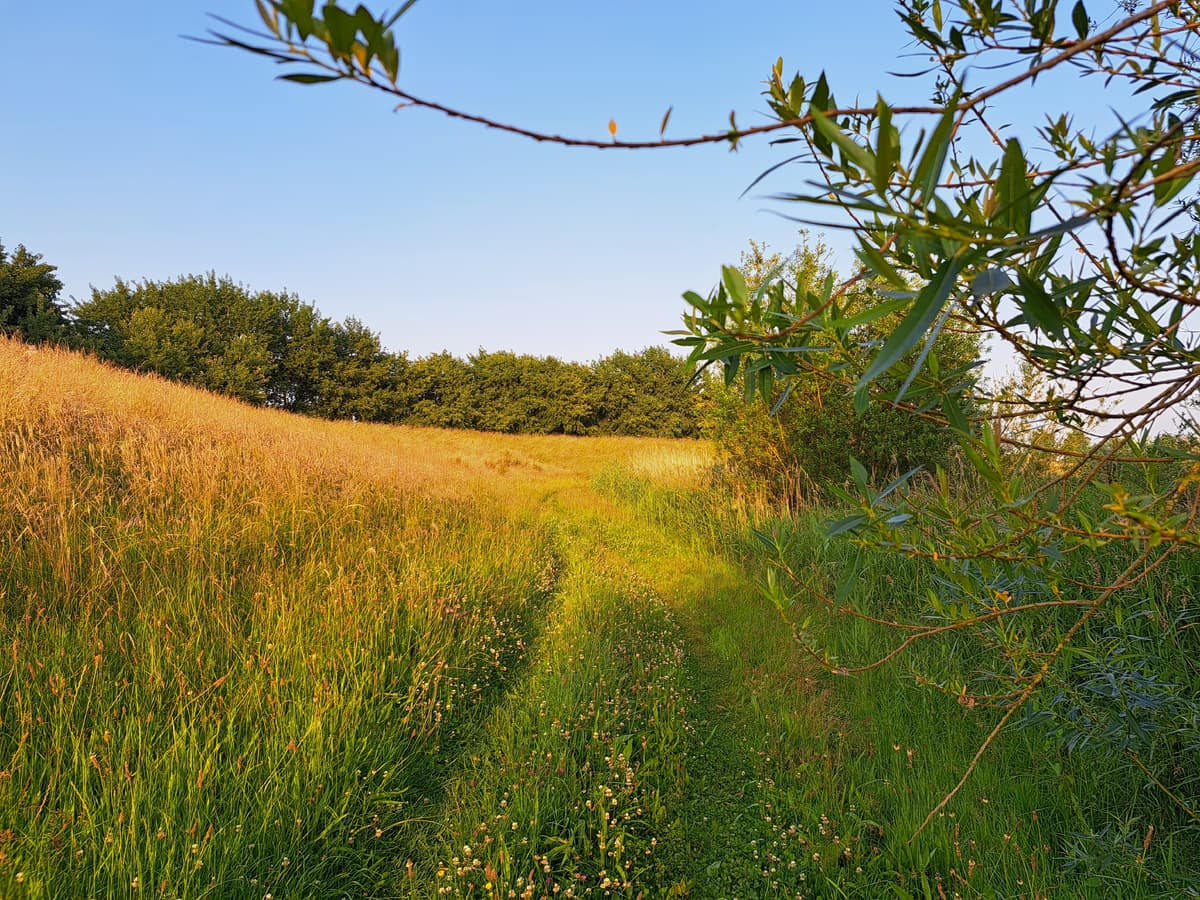 Puur natuur atelier