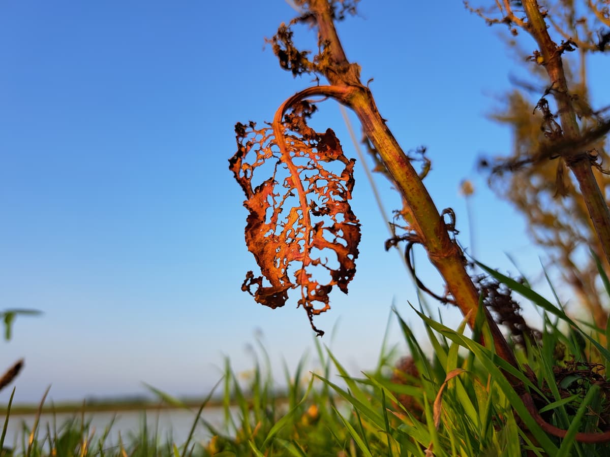 Puur natuur atelier