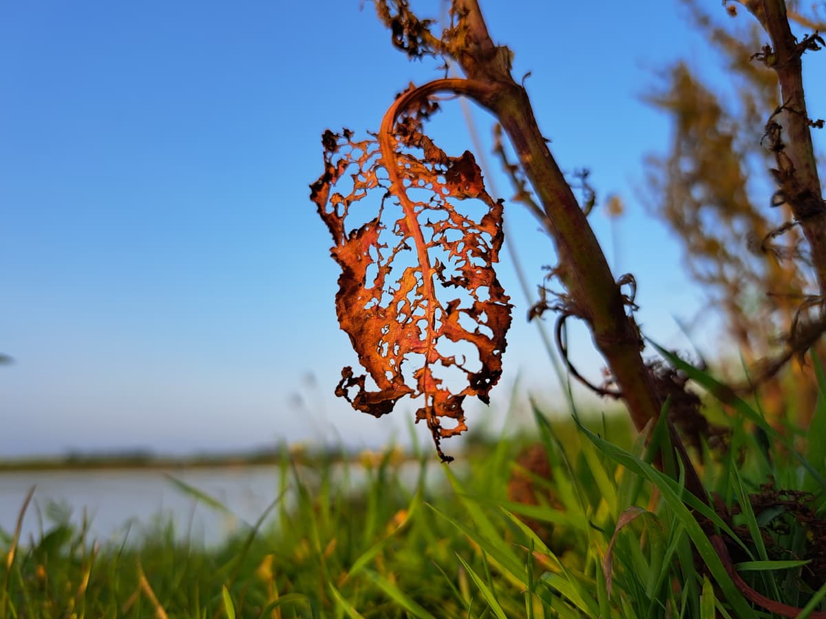 Puur natuur atelier