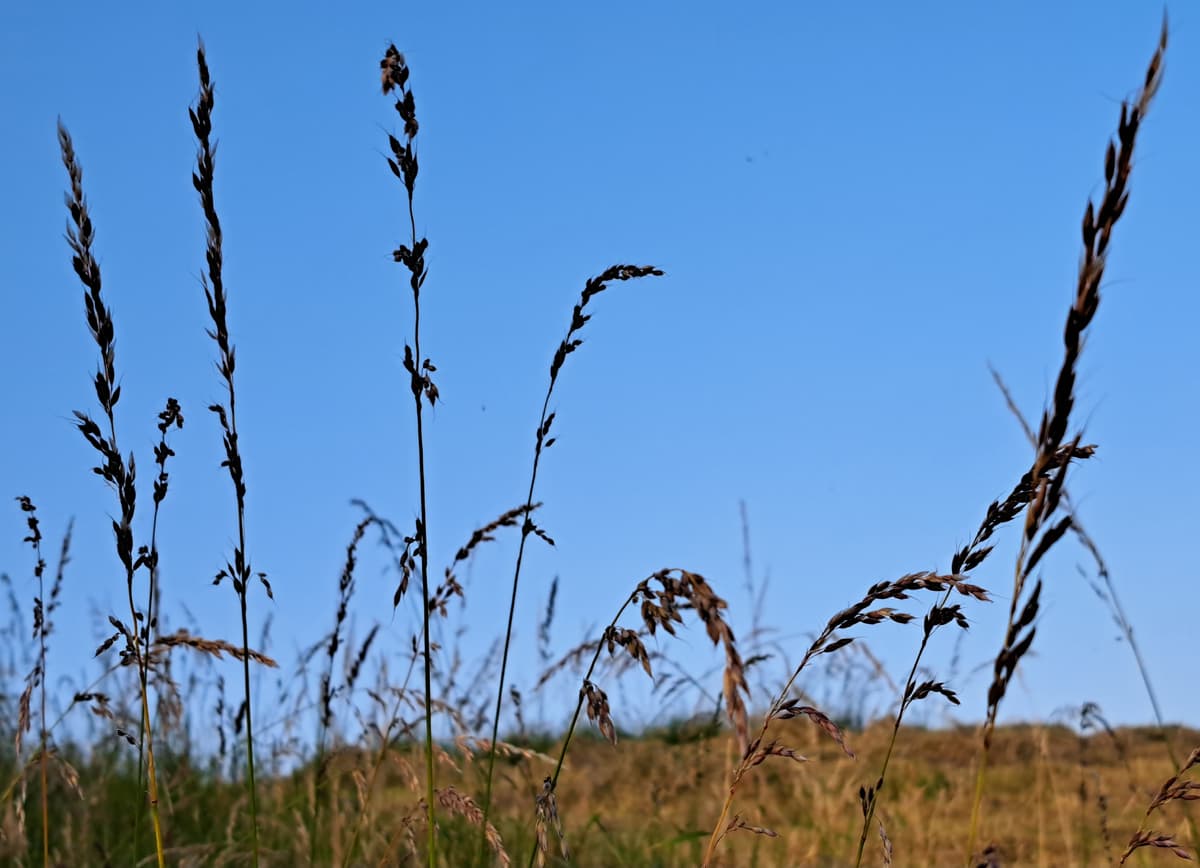 Puur natuur atelier