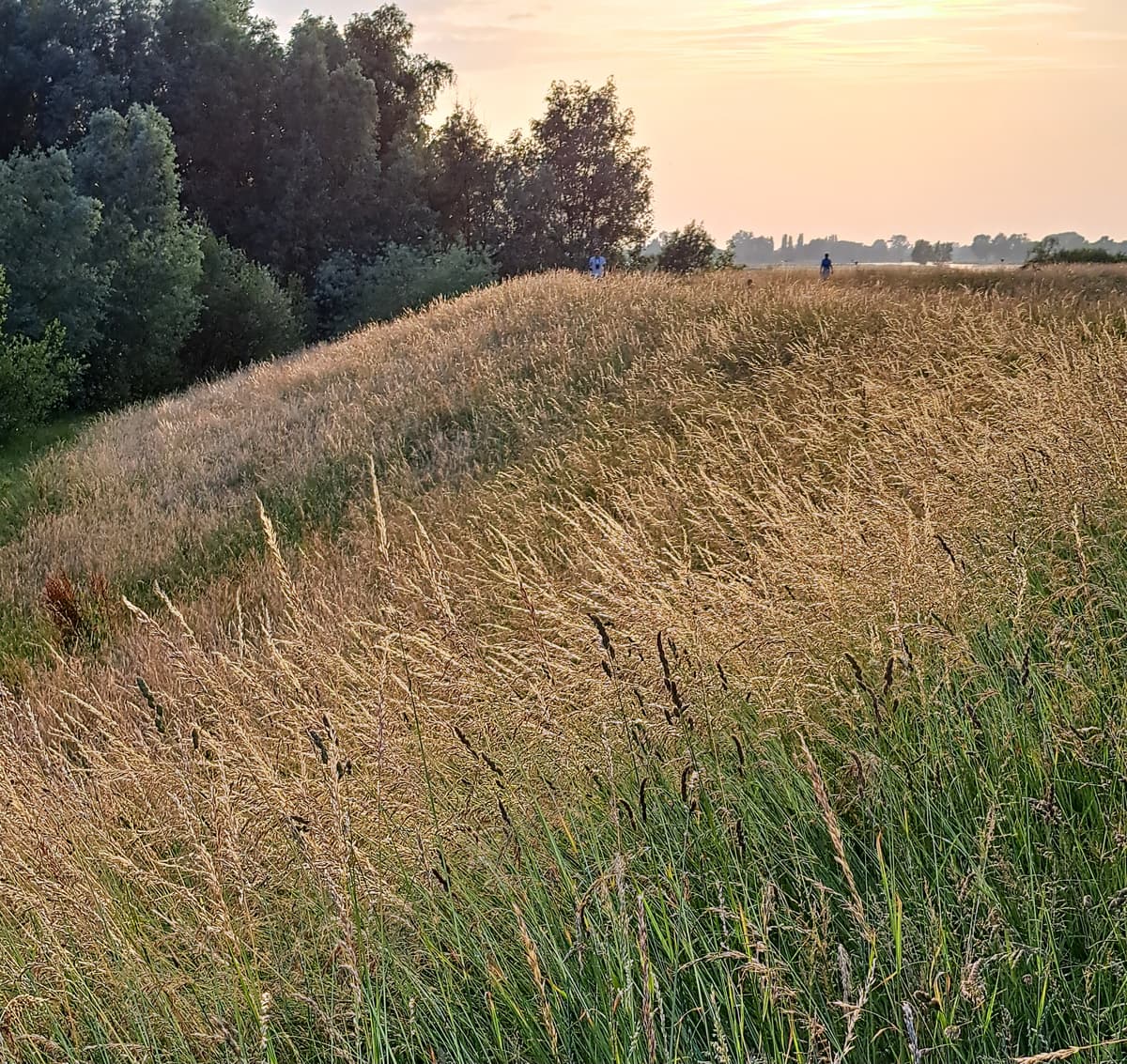 Puur natuur atelier