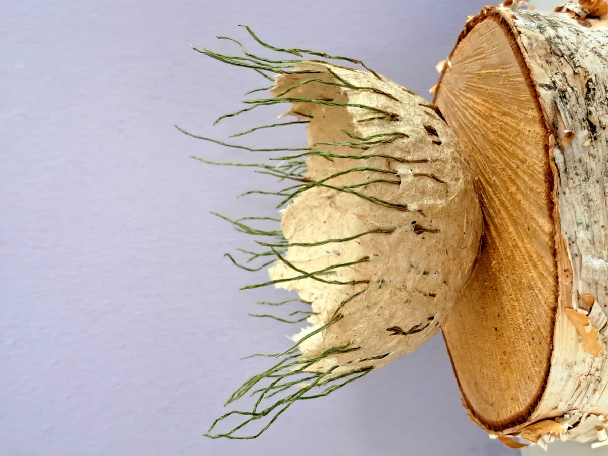 Puur natuur atelier
