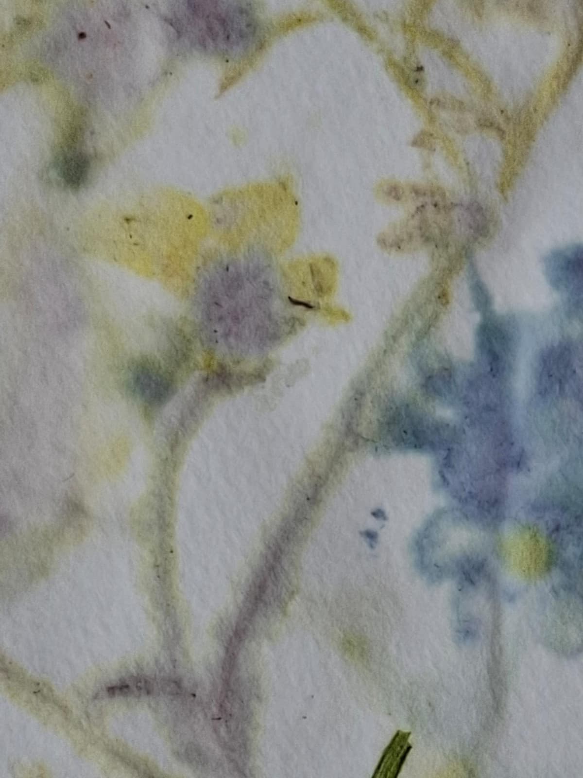 Puur natuur atelier