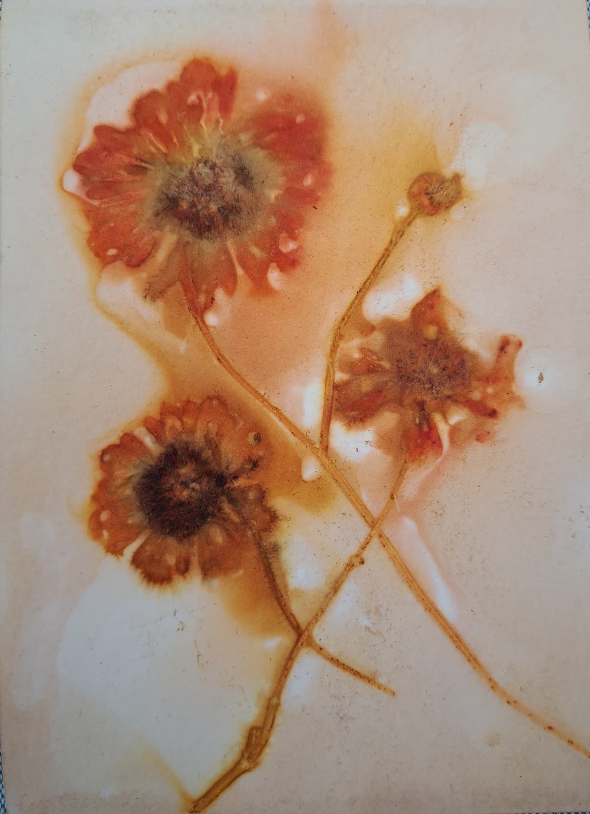 Puur natuur atelier