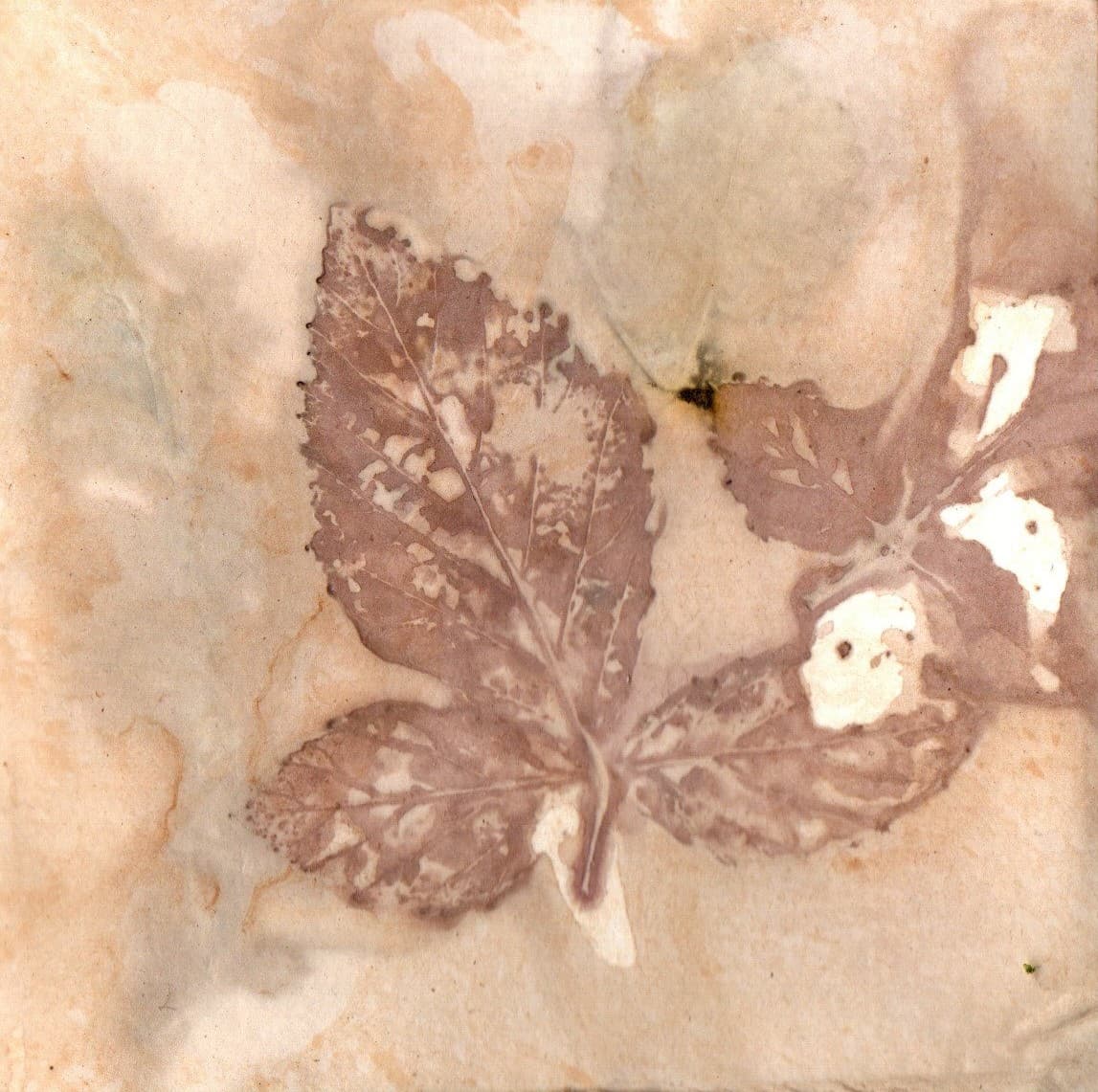 Puur natuur atelier
