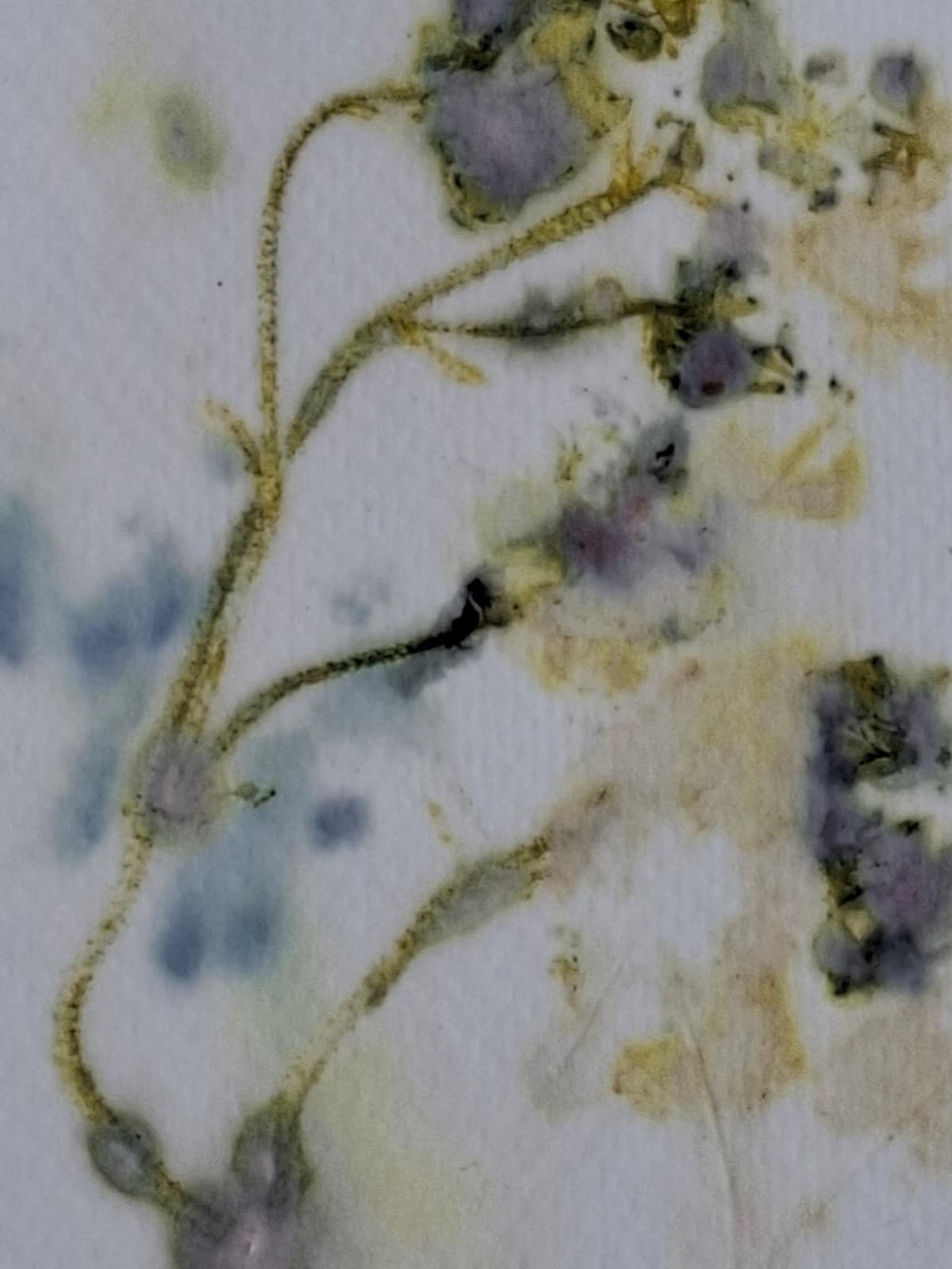 Puur natuur atelier