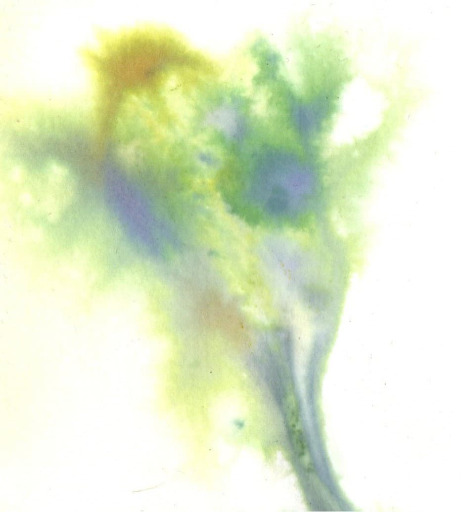 Puur natuur atelier