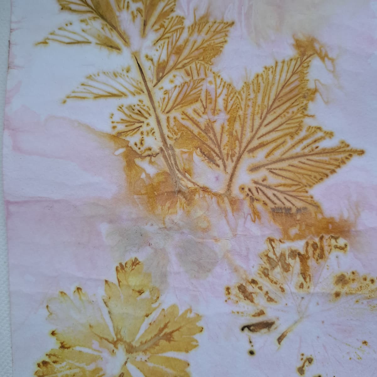 Puur natuur atelier