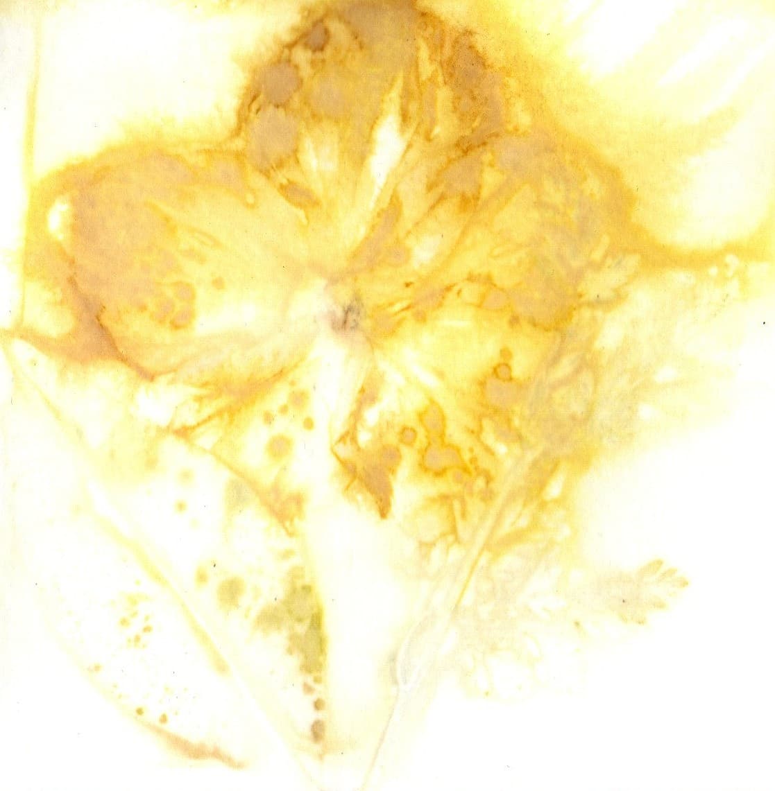 Puur natuur atelier