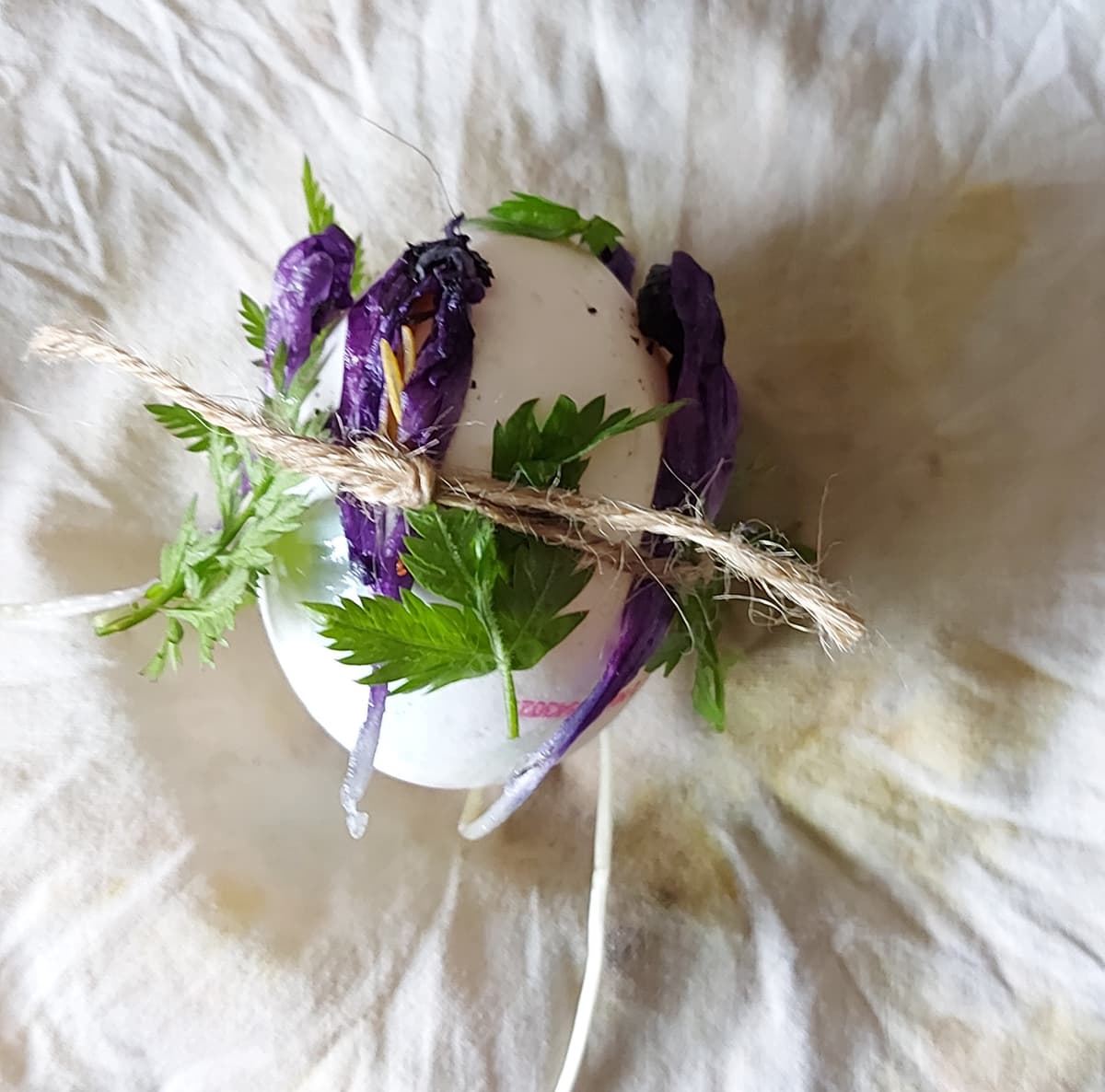 Puur natuur atelier