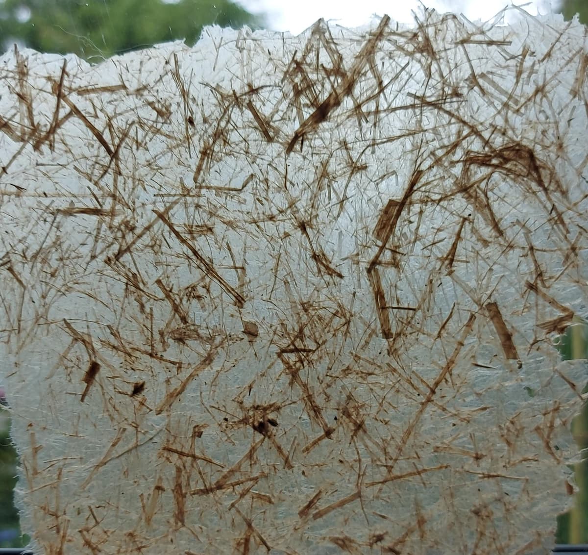 Puur natuur atelier