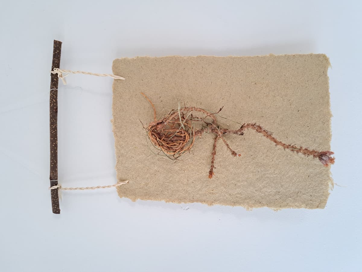 Puur natuur atelier