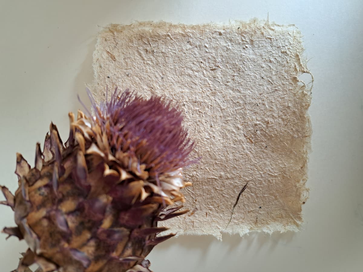 Puur natuur atelier