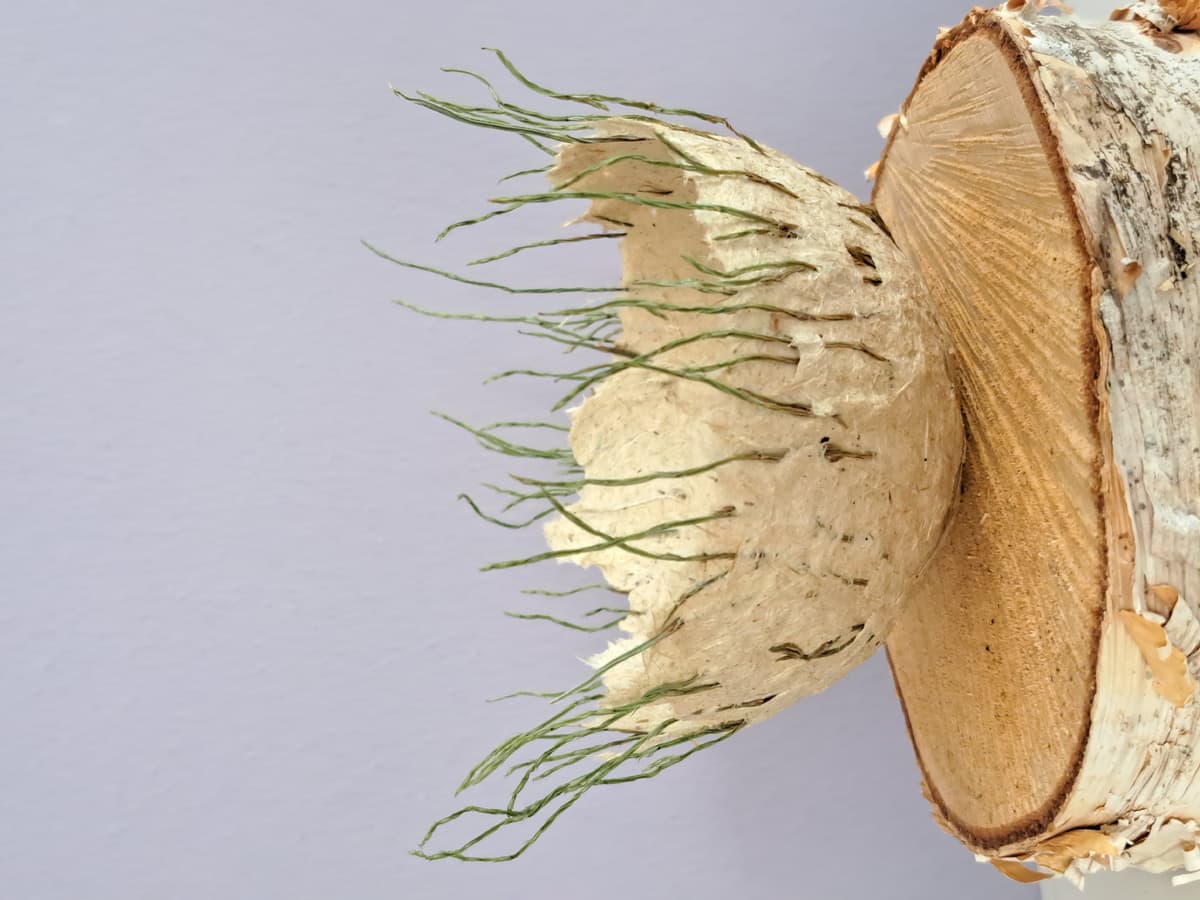 Puur natuur atelier