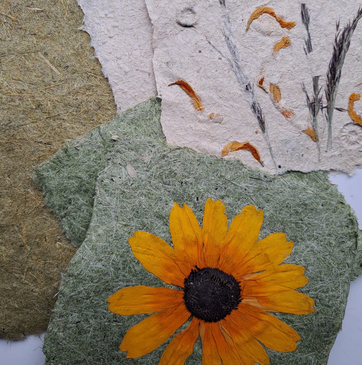 Puur natuur atelier