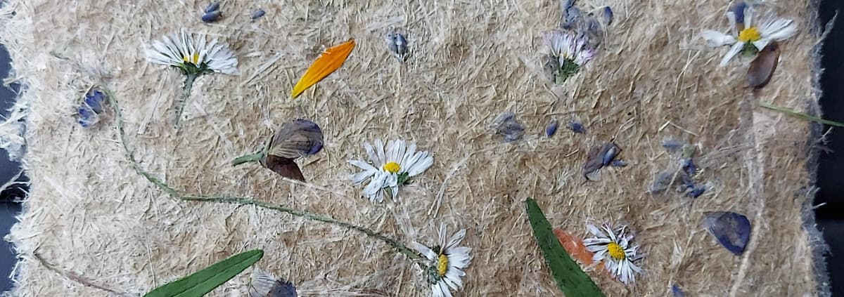 Puur natuur atelier