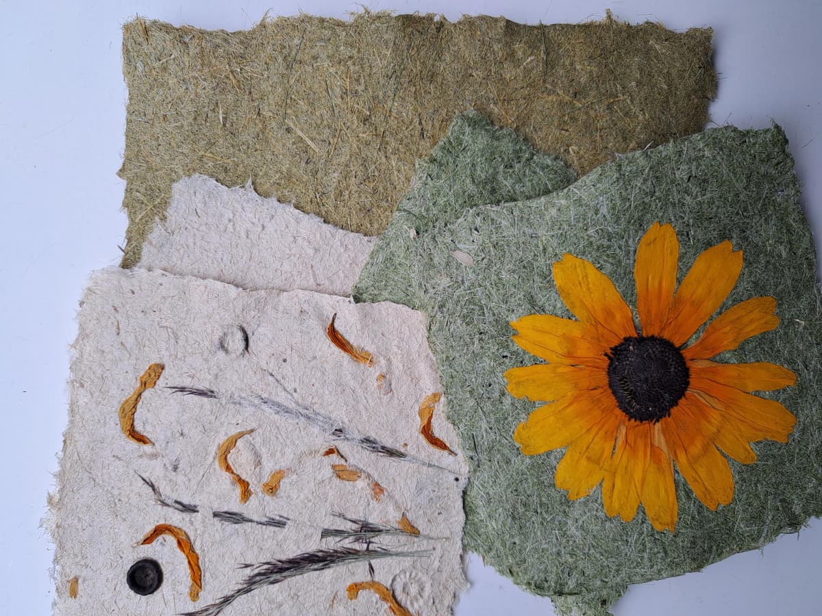 Puur natuur atelier