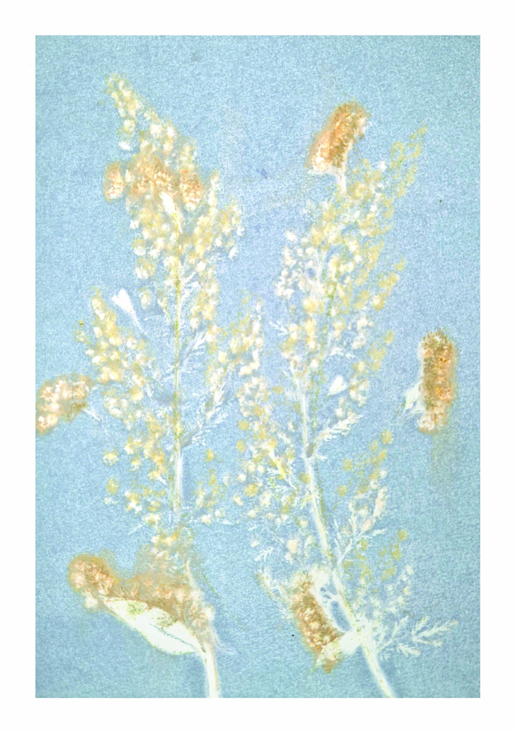 Puur Natuur Atelier