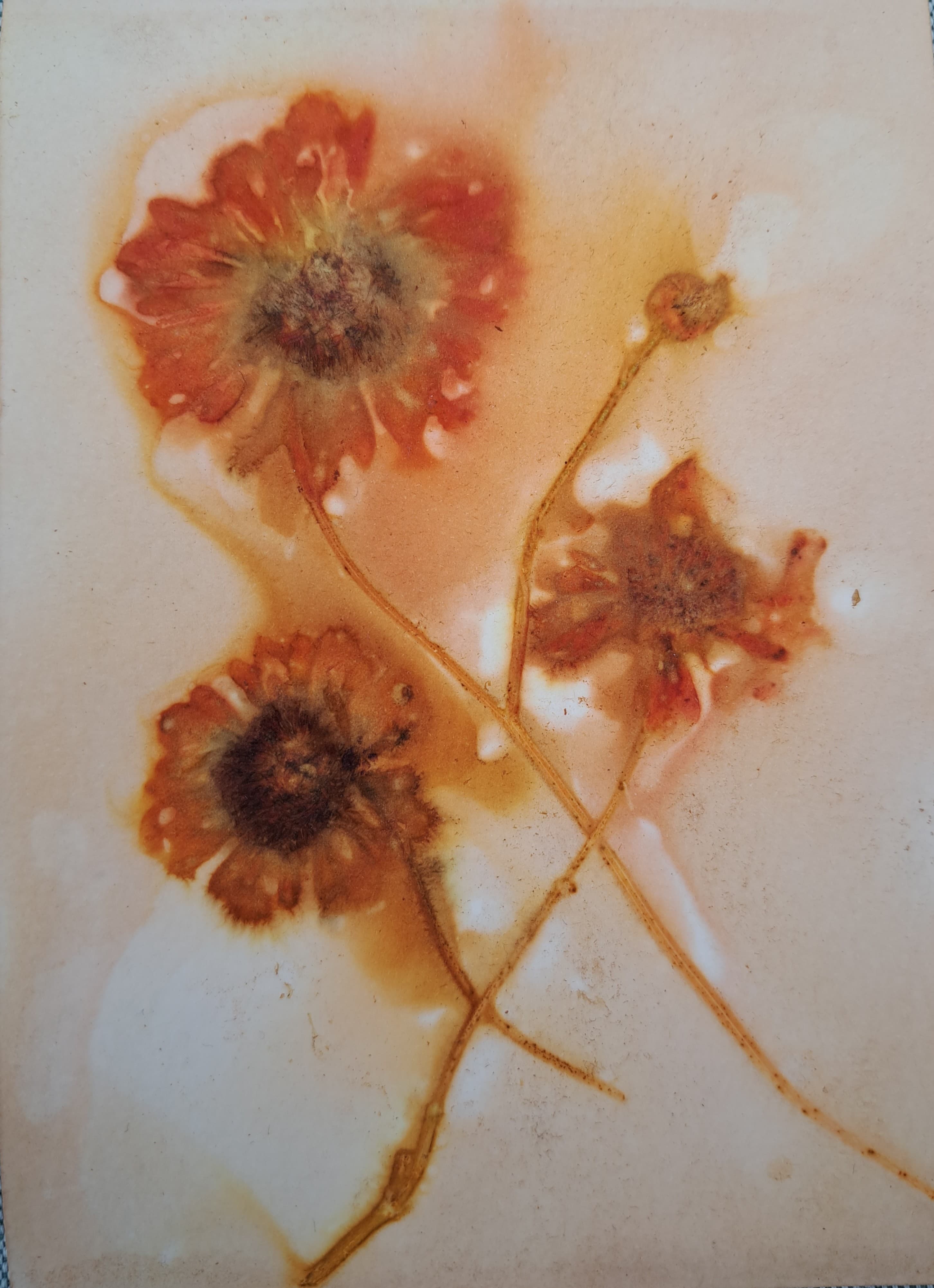 Bloem