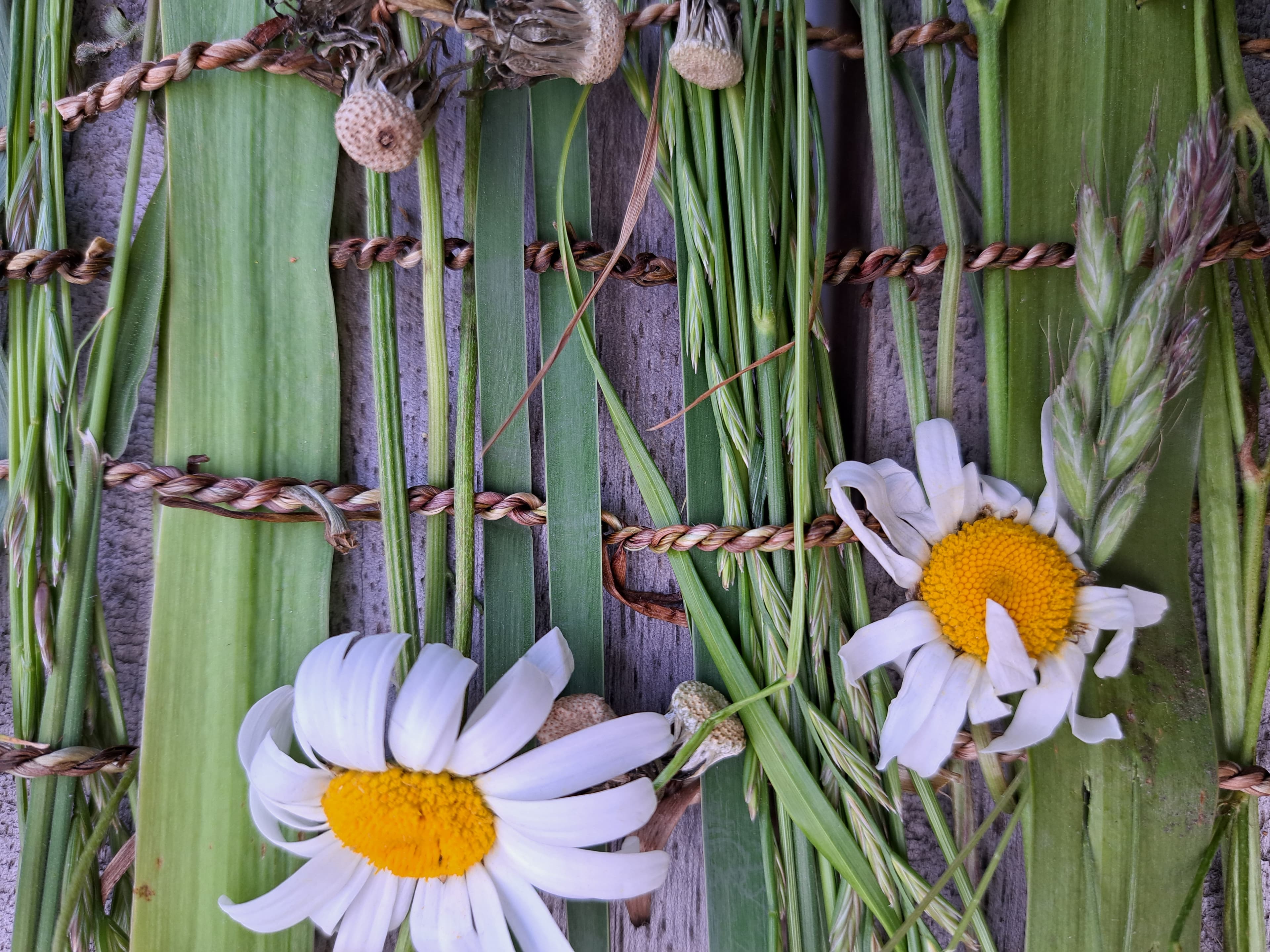 Wilde Bloemen Weefsel